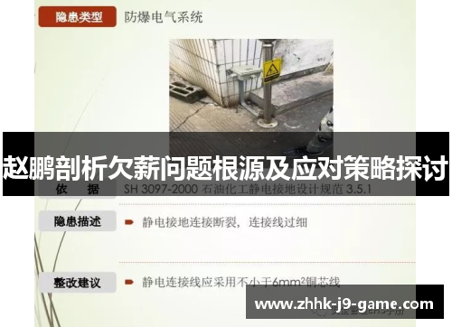 赵鹏剖析欠薪问题根源及应对策略探讨
